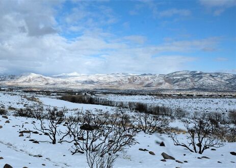 Read more about the article Effects of Wildfire on Riparian Corridors