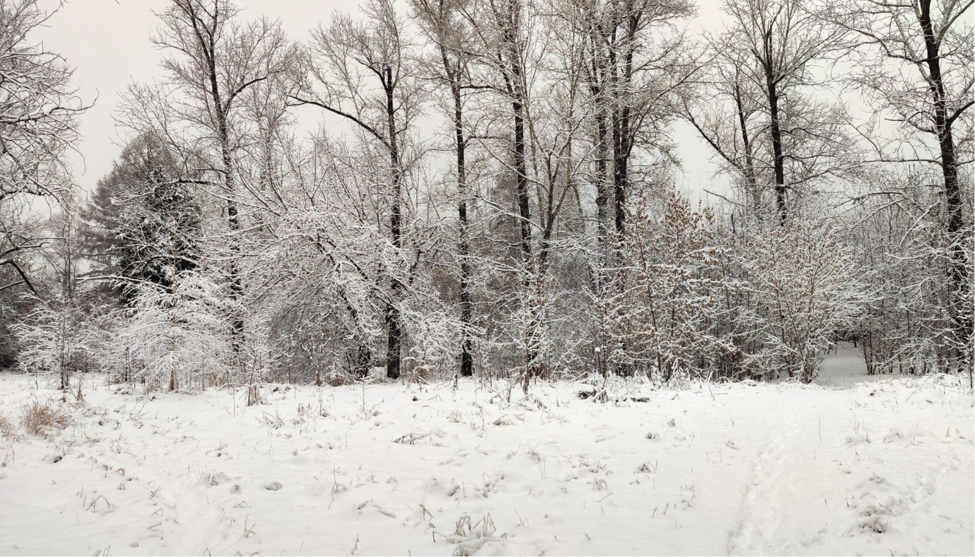 Read more about the article Why we need snow